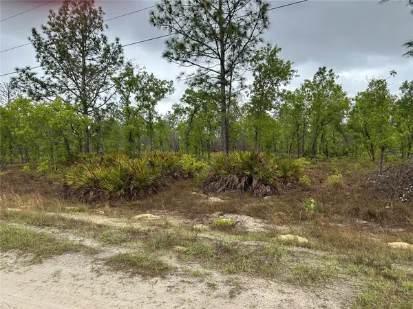 SW 95TH PL, Dunnellon, FL 34432