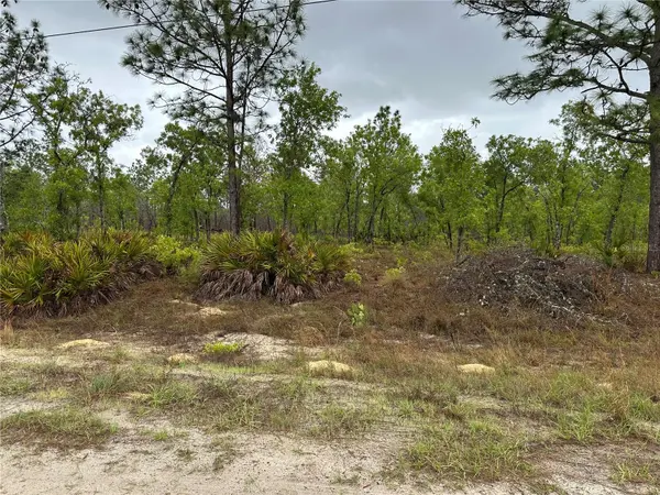 SW 95TH PL, Dunnellon, FL 34432