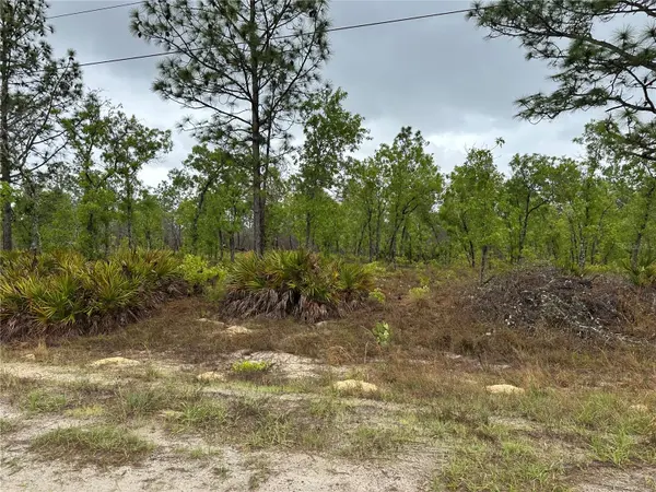 SW 95TH PL, Dunnellon, FL 34432