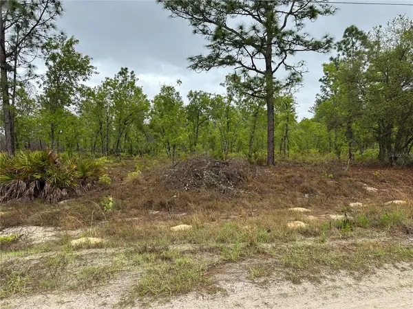 SW 95TH PL, Dunnellon, FL 34432