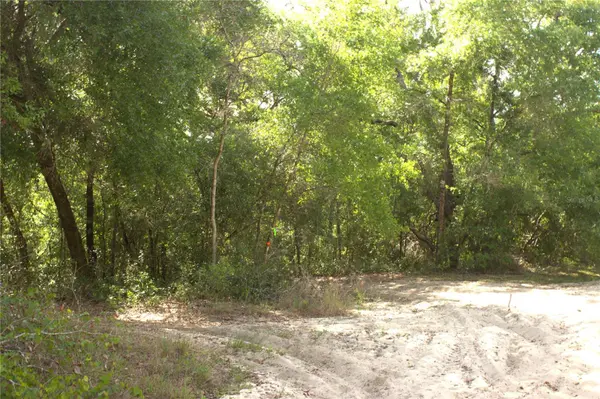 REDBUD RD, Lady Lake, FL 32159