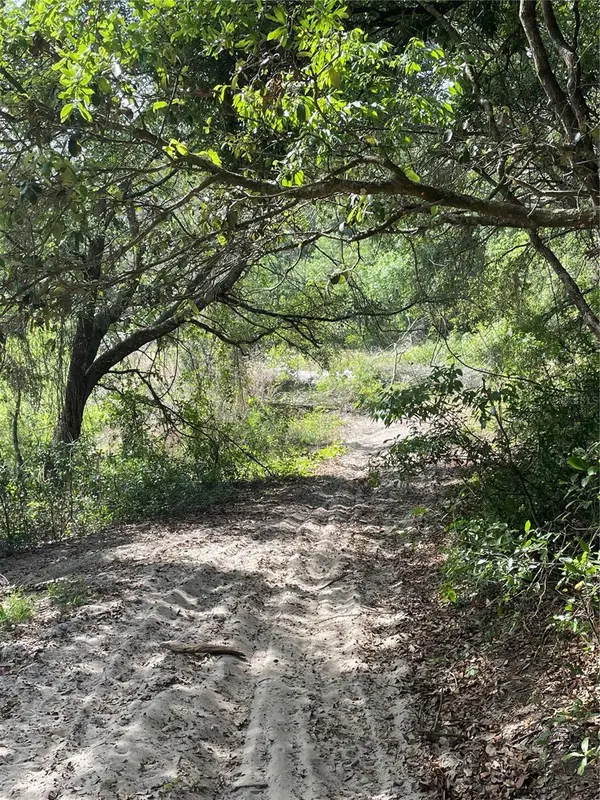 REDBUD RD, Lady Lake, FL 32159