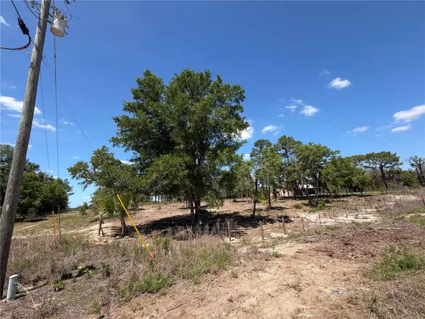 TBD SW 169TH CT #18, Ocala, FL 34481