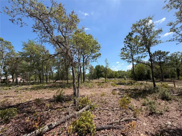 TBD SW 169TH CT #18, Ocala, FL 34481
