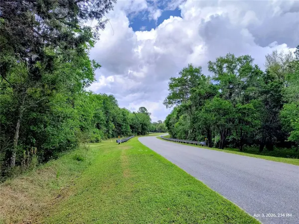 14095 NW 141ST AVE, Williston, FL 32696