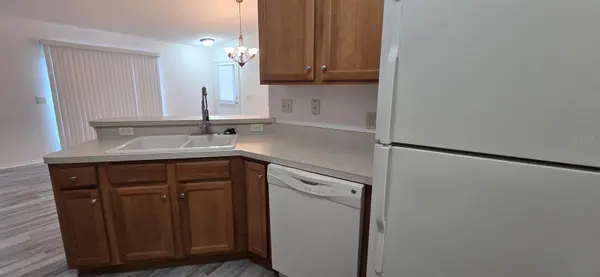 1009 RIDGEVILLE RD, The Villages, FL 32162