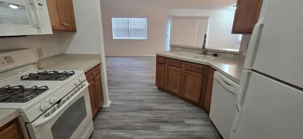 1009 RIDGEVILLE RD, The Villages, FL 32162