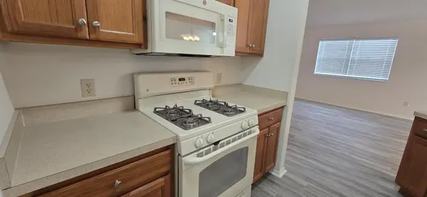 1009 RIDGEVILLE RD, The Villages, FL 32162