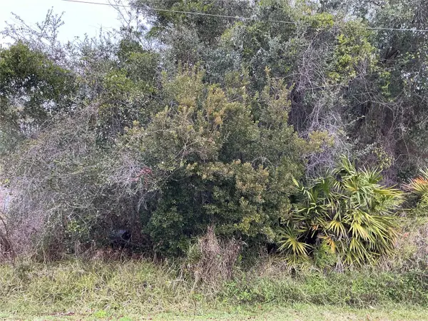 12 FAYY LN, Palm Coast, FL 32137