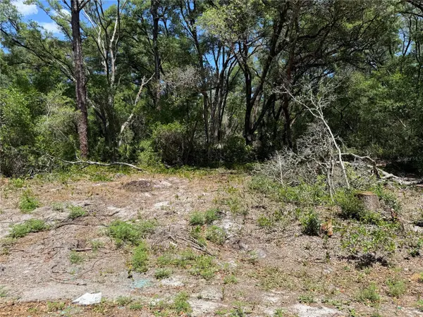 FISCHER LANE CT, Ocklawaha, FL 32179