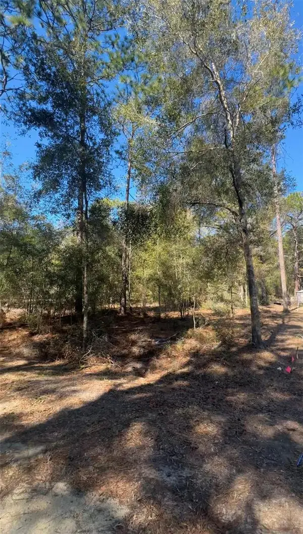 TBD SW 22ND PL, Ocala, FL 34474