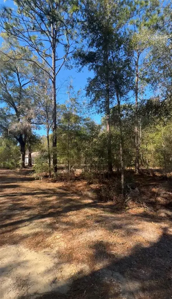 TBD SW 22ND PL, Ocala, FL 34474