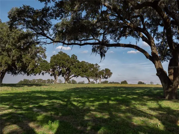 TBD NW GAINESVILLE RD, Reddick, FL 32686