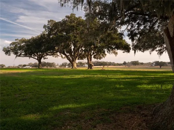 TBD NW GAINESVILLE RD, Reddick, FL 32686