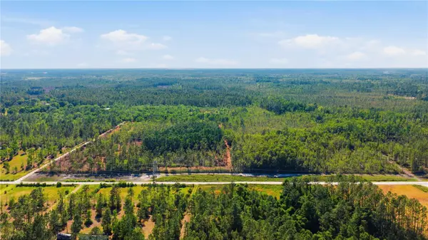 TBD NE 125TH AVE, Fort Mc Coy, FL 32134