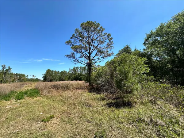 TBD NE 128TH LN, Bronson, FL 32621