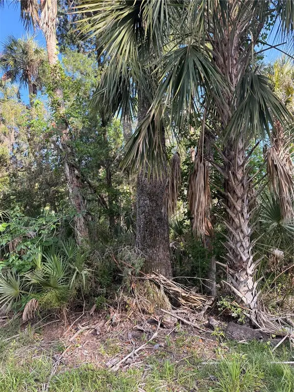 10274 W OZELLO TRL, Crystal River, FL 34429
