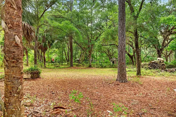 9190 NE 144TH TER, Silver Springs, FL 34488