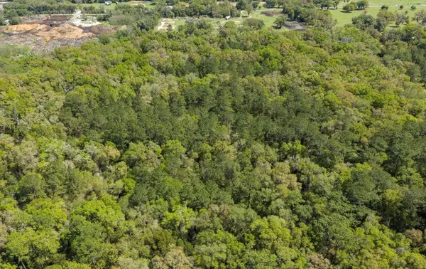 NW 38TH AVENUE RD, Ocala, FL 34482