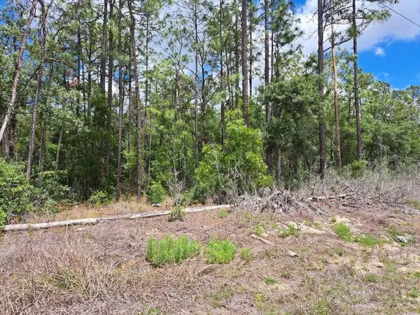0 SW 64 STREET RD, Ocala, FL 34481