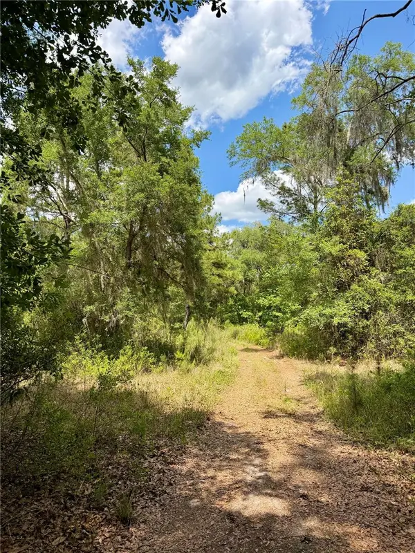 16500 NE 48TH AVE, Citra, FL 32113