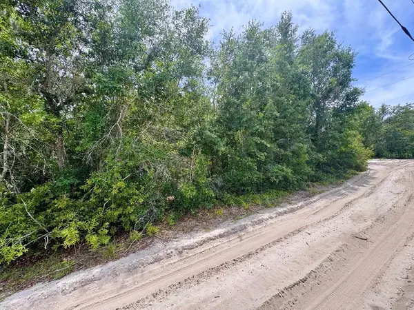 8365 NE 306TH CT, Salt Springs, FL 32134