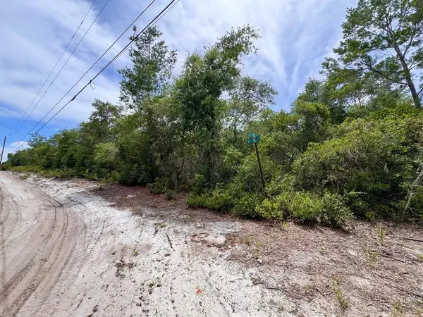 NE 306TH TER, Salt Springs, FL 32134