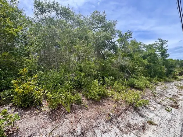 NE 306TH TER, Salt Springs, FL 32134