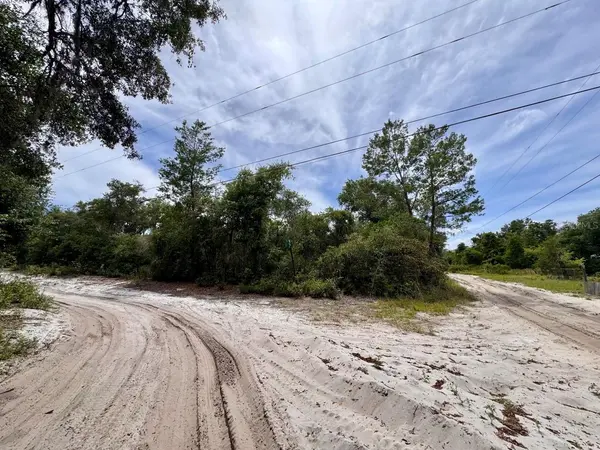 NE 306TH TER, Salt Springs, FL 32134