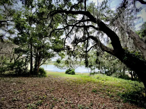 00 SE 146TH TERRACE RD, Ocklawaha, FL 32179