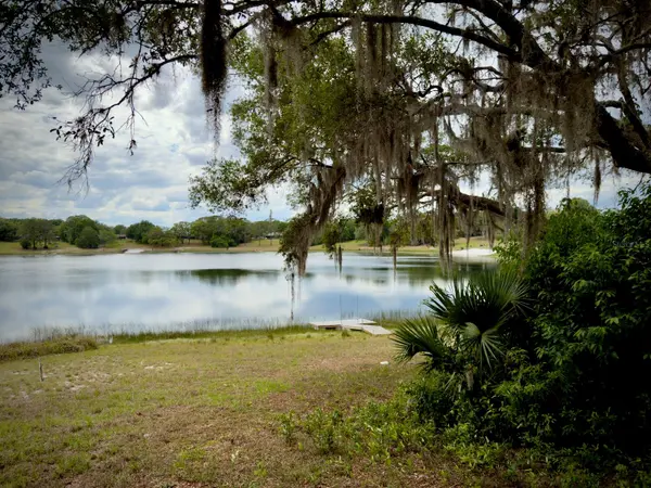 00 SE 146TH TERRACE RD, Ocklawaha, FL 32179