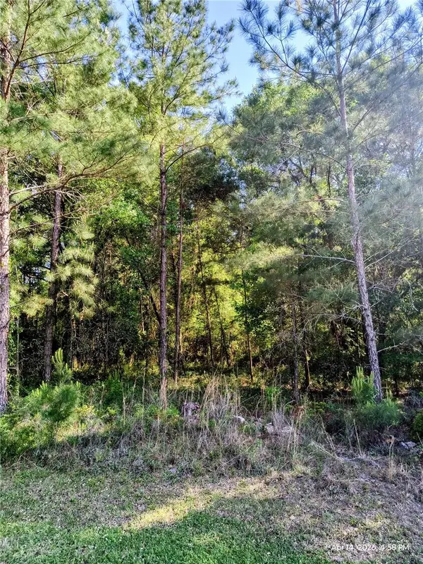 TBD NW 142ND ST, Williston, FL 32696