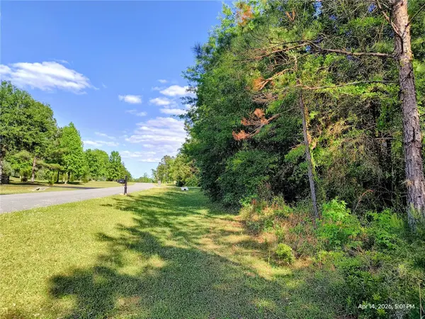 TBD NW 142ND ST, Williston, FL 32696