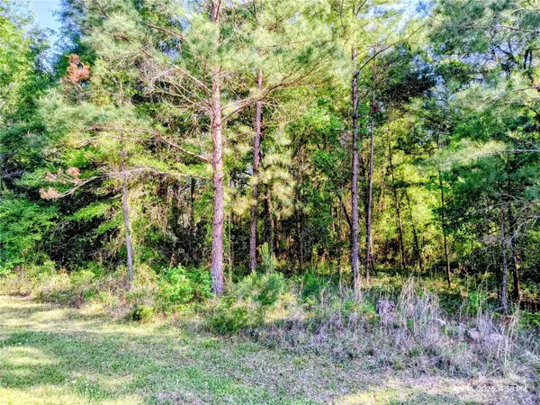 TBD NW 142ND ST, Williston, FL 32696