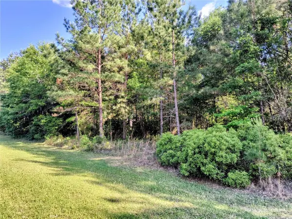 TBD NW 142ND ST, Williston, FL 32696
