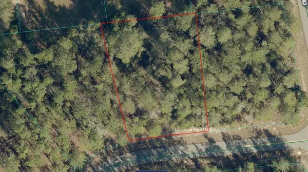 17700 SW 35TH TERRACE RD, Ocala, FL 34473