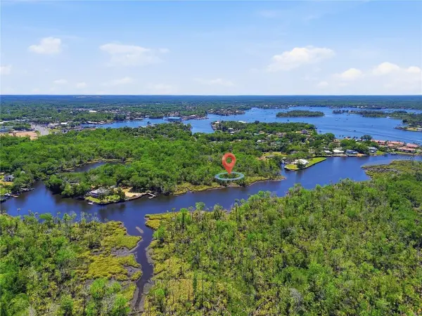 650 MILLER CREEK RD, Crystal River, FL 34428