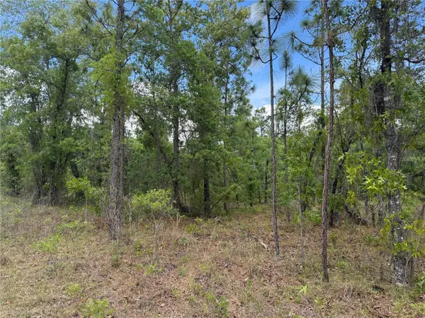 00 SE 126TH TER, Dunnellon, FL 34431