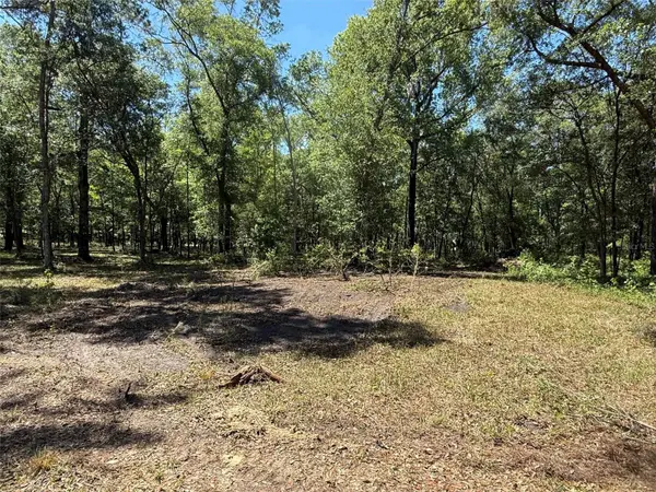 0 NW 145 AVE, Williston, FL 32696