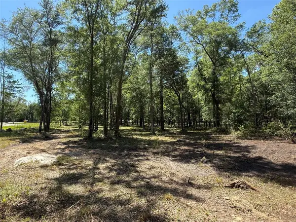 0 NW 145 AVE, Williston, FL 32696