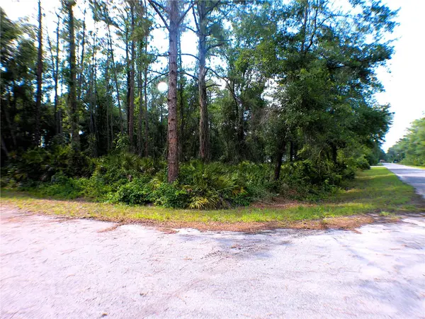 SEQUOIA DR, Ocklawaha, FL 32179