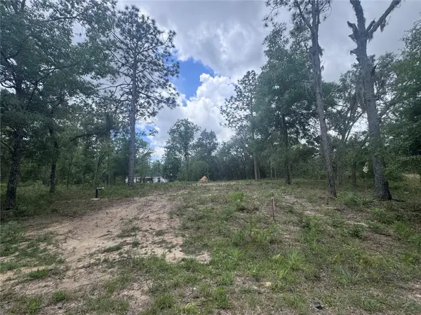 TBD NE 16TH PL, Williston, FL 32696