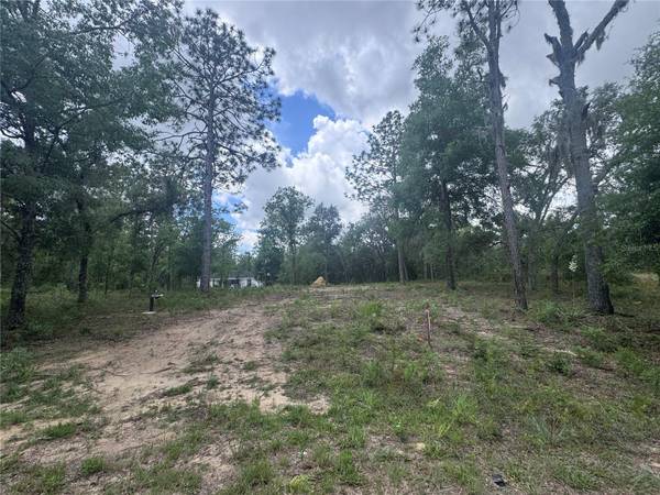 TBD NE 16TH PL, Williston, FL 32696
