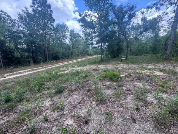 TBD NE 16TH PL, Williston, FL 32696