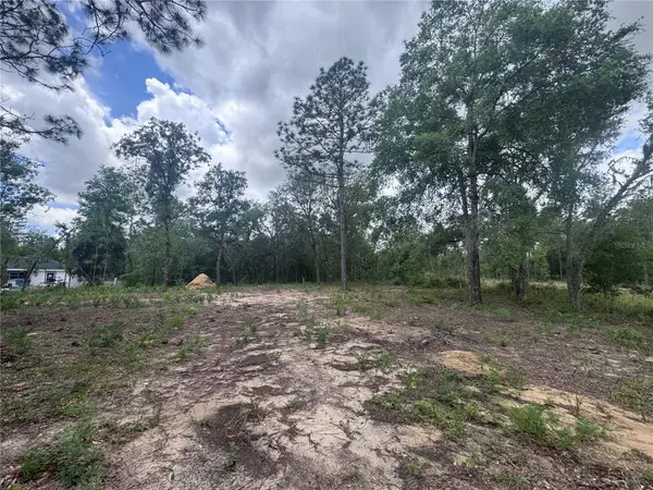 TBD NE 16TH PL, Williston, FL 32696