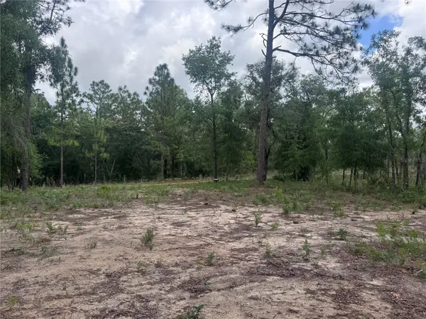 TBD NE 16TH PL, Williston, FL 32696