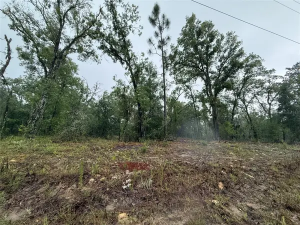 1900 W MAGENTA DR, Dunnellon, FL 34434