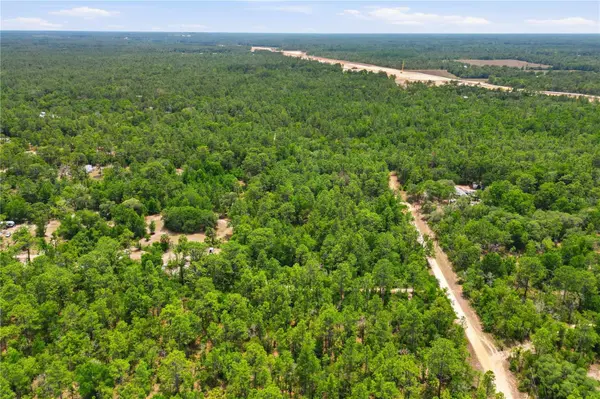 5339 N LACE PT, Dunnellon, FL 34433