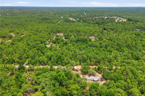 5339 N LACE PT, Dunnellon, FL 34433