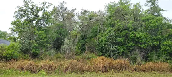 SPRUCE RD, Ocala, FL 34472